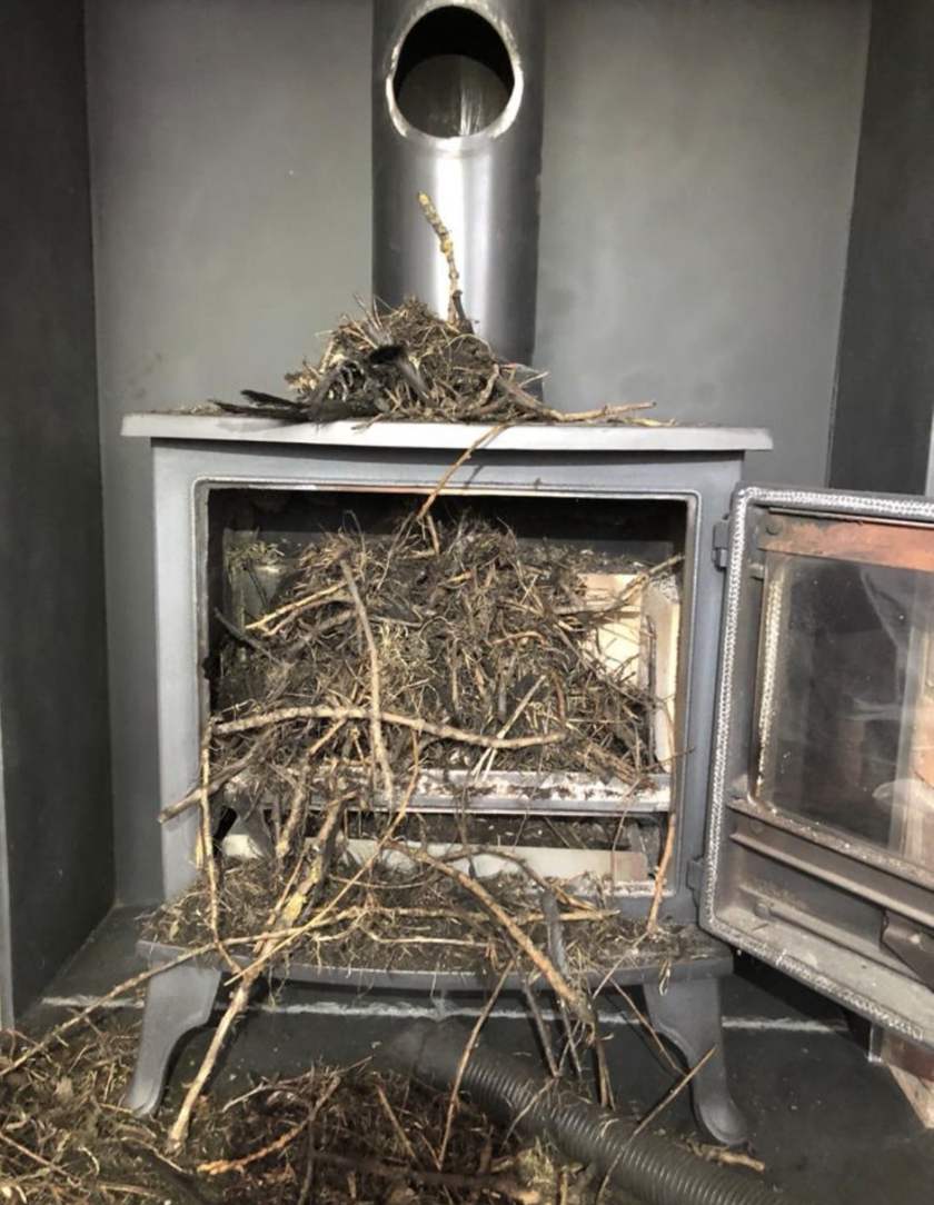 Birds nest fire hazard in Log burning Stove.
